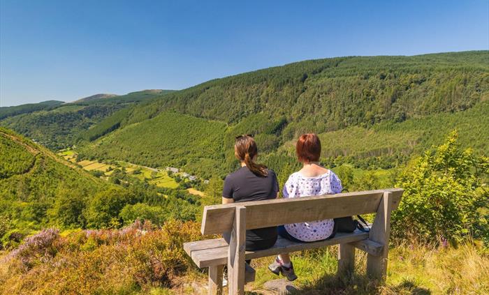 Foel Friog viewpoint, Dyfi Forest